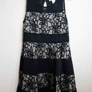Black & Cream Lace Dress